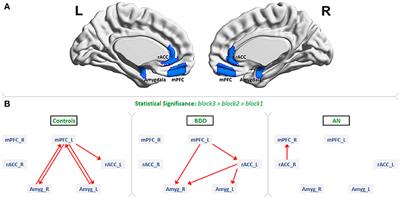 Aberrant Dynamic Connectivity for Fear Processing in Anorexia Nervosa and Body Dysmorphic Disorder